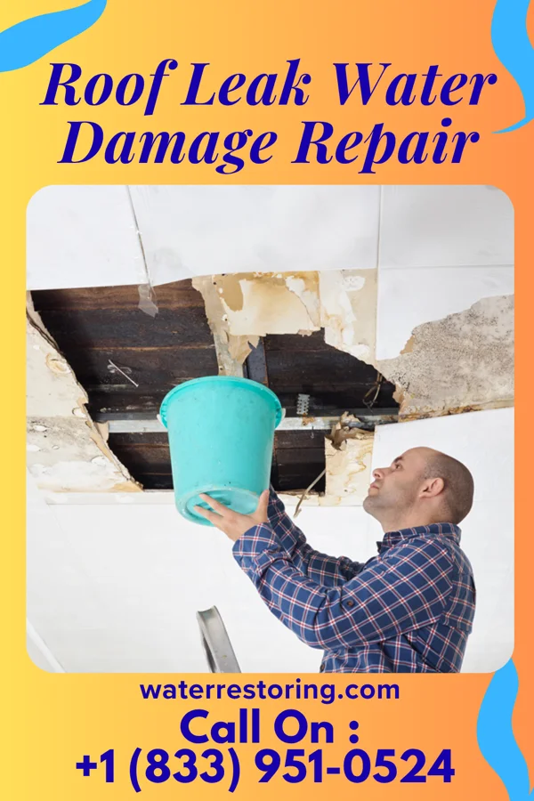 Roof Leak Water Damage Repair in Eastport, ME