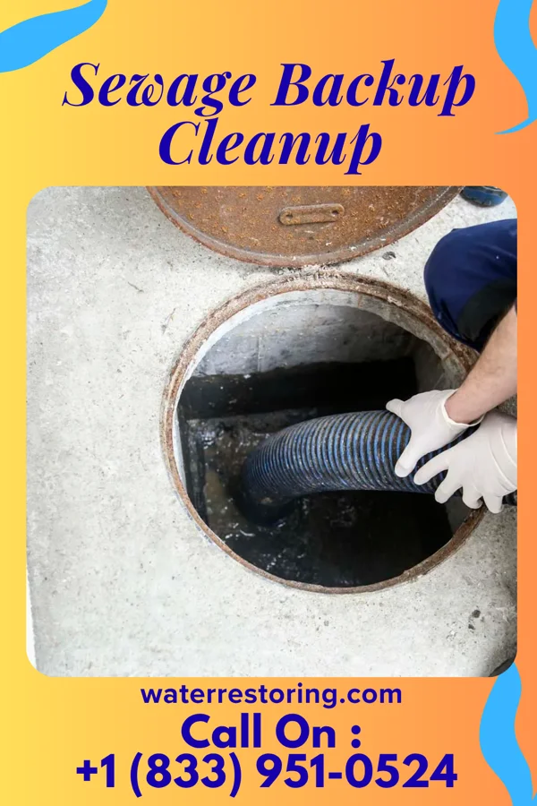 Sewage Backup Cleanup in Eastport, ME
