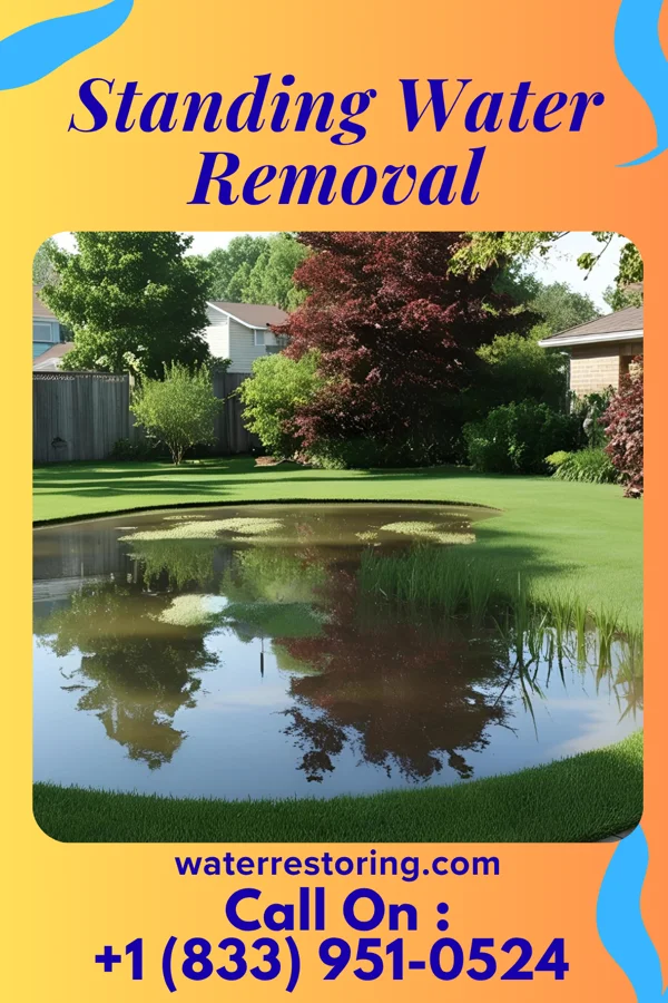 Standing Water Removal in Eastport, ME
